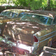 Illustration for article titled Former Car Dealers Collection Of Decaying Packards Head To Auction